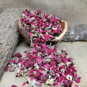 Tomurcuk Gül - 40 Gr